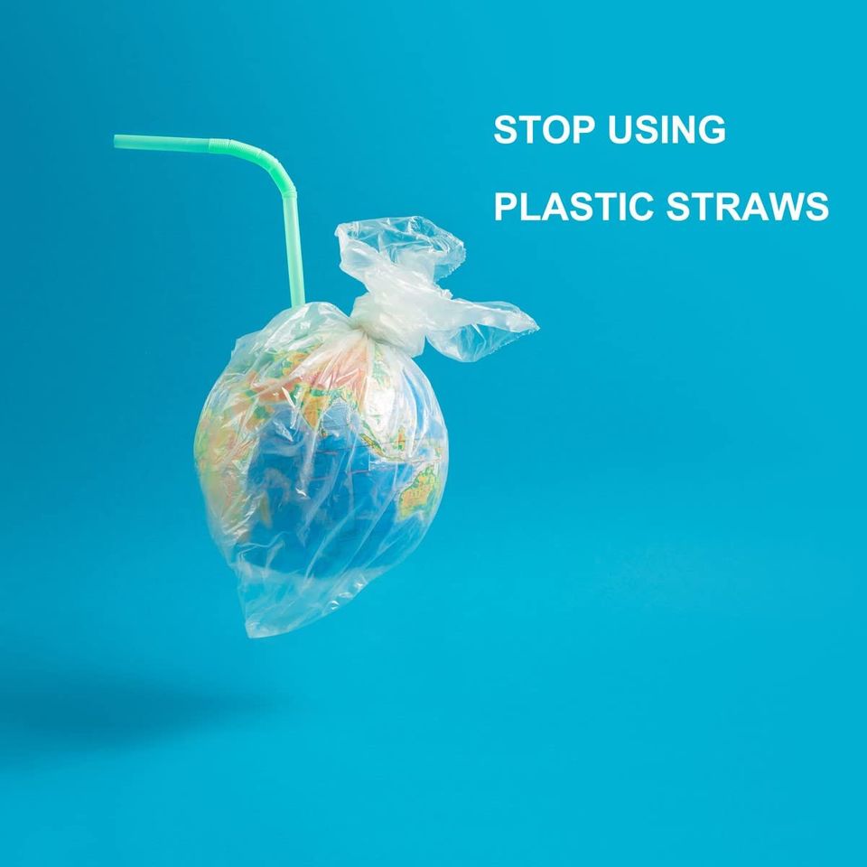 Good Bye Plastic Straws! Hello Eco-Friendly Alternatives